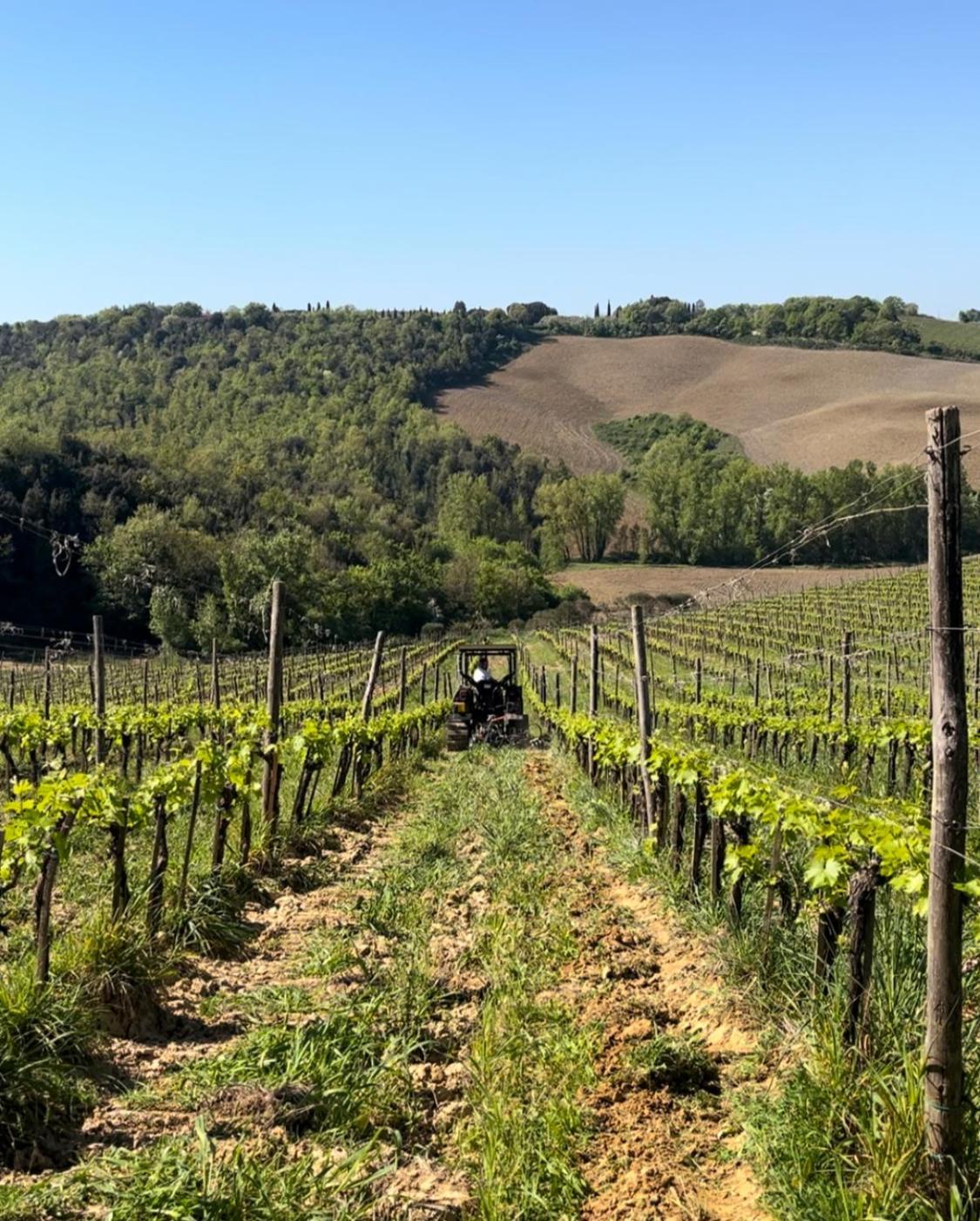 Podere Sole トレクアンダ エクステリア 写真