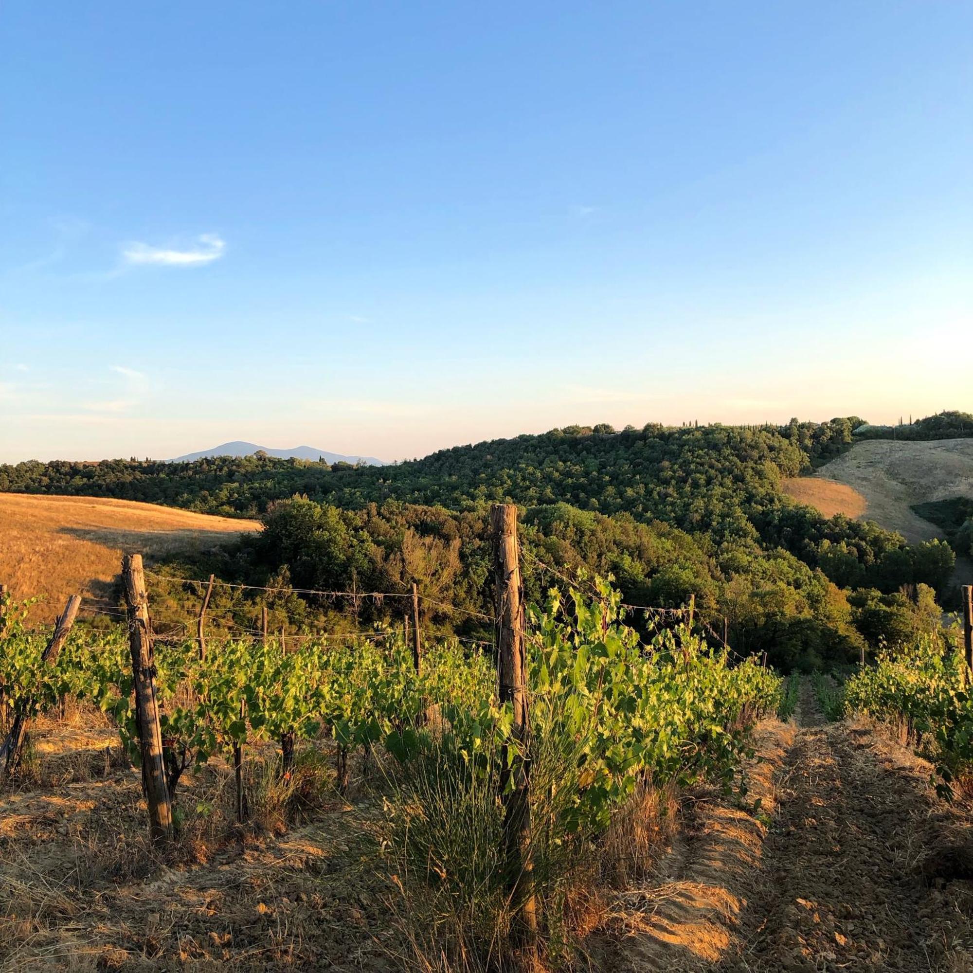 Podere Sole トレクアンダ エクステリア 写真